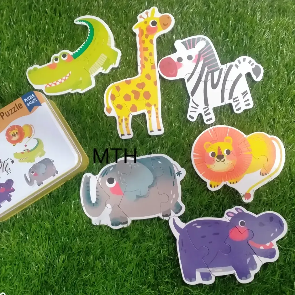 [Toys & Games / Puzzles and Blocks-31243] Intellect Toys Puzzle